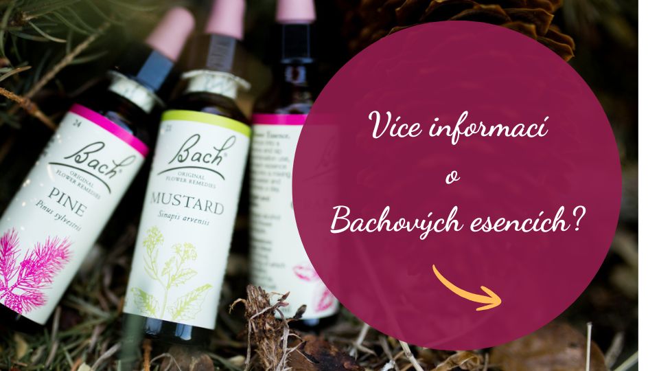 Vice o bachovych esencich
